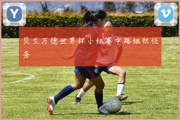 贝兰万德世界杯小组赛中路组织任务