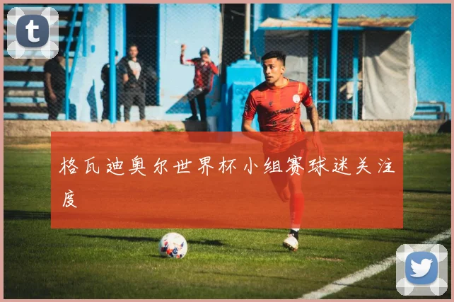 格瓦迪奥尔世界杯小组赛球迷关注度