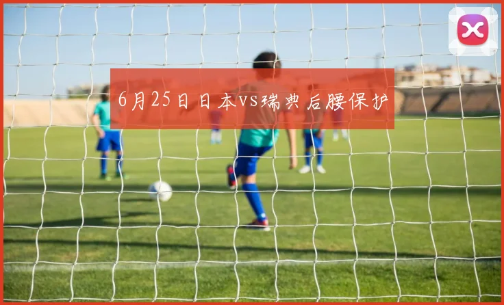 6月25日日本vs瑞典后腰保护