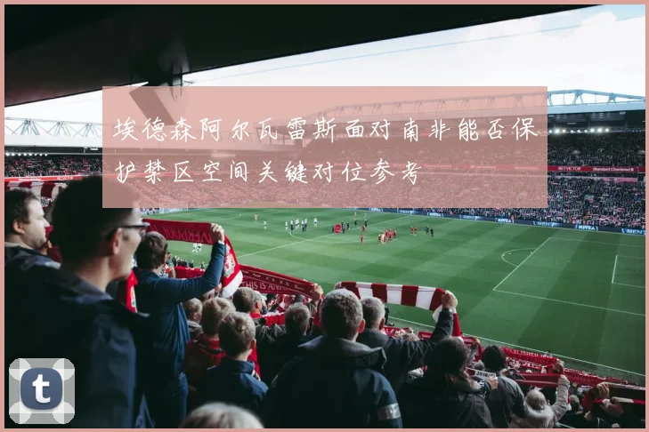 埃德森阿尔瓦雷斯面对南非能否保护禁区空间关键对位参考