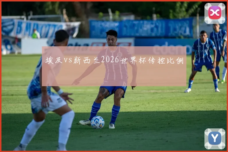 埃及vs新西兰2026世界杯传控比例