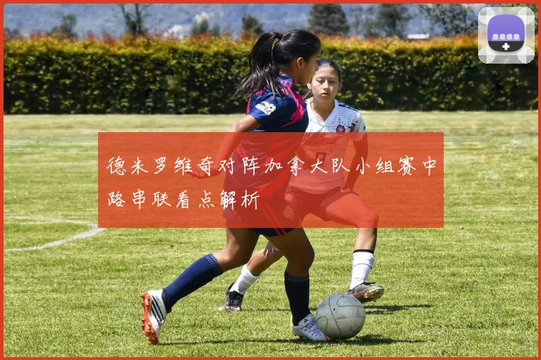 德米罗维奇对阵加拿大队小组赛中路串联看点解析