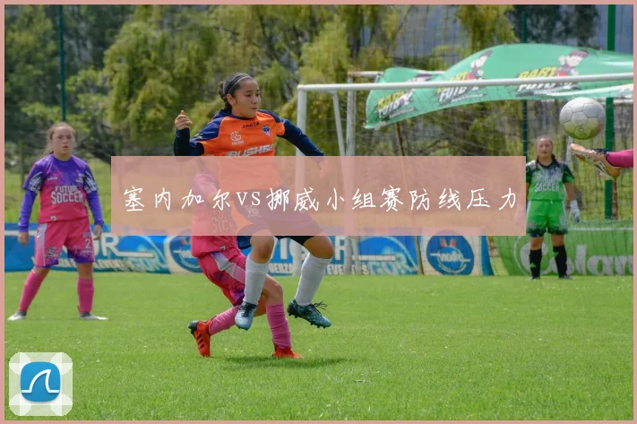 塞内加尔vs挪威小组赛防线压力
