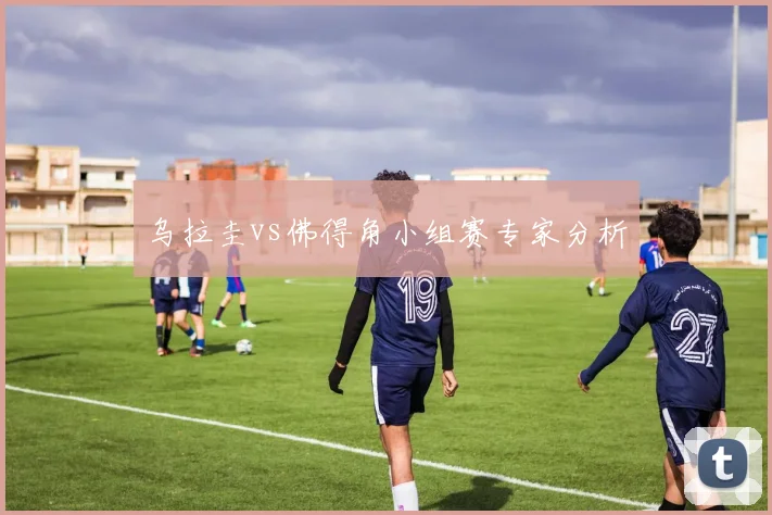 乌拉圭vs佛得角小组赛专家分析