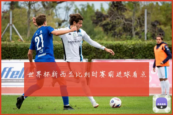 世界杯新西兰比利时赛前进球看点
