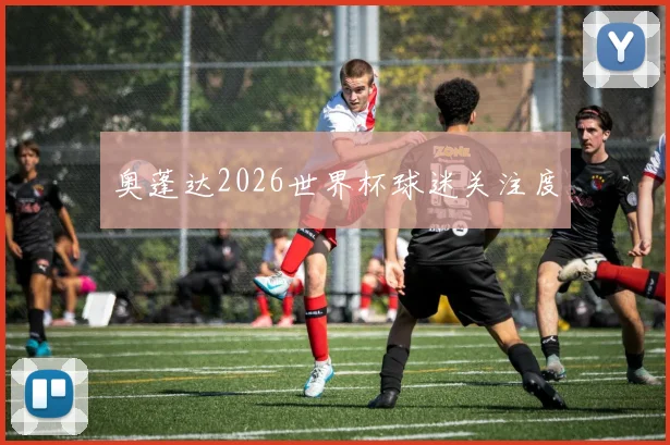 奥蓬达2026世界杯球迷关注度