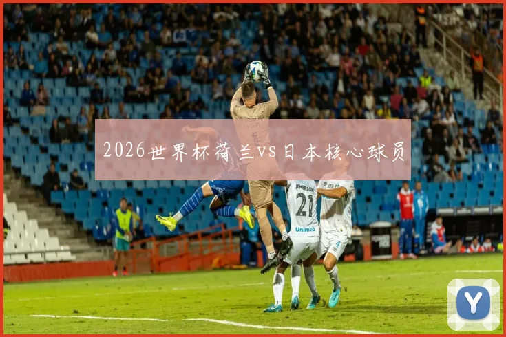 2026世界杯荷兰vs日本核心球员