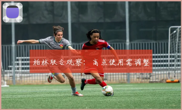 柏林联合观察：高点使用需调整