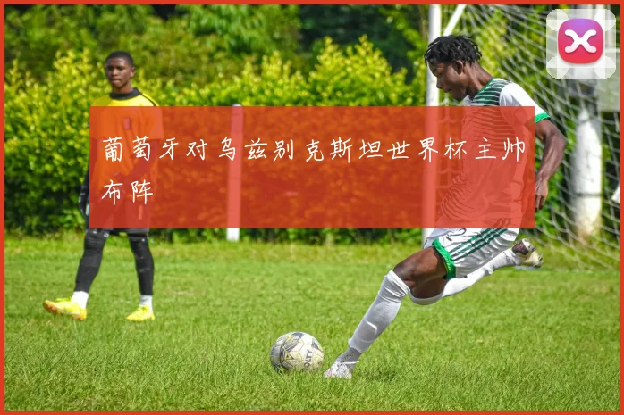 葡萄牙对乌兹别克斯坦世界杯主帅布阵
