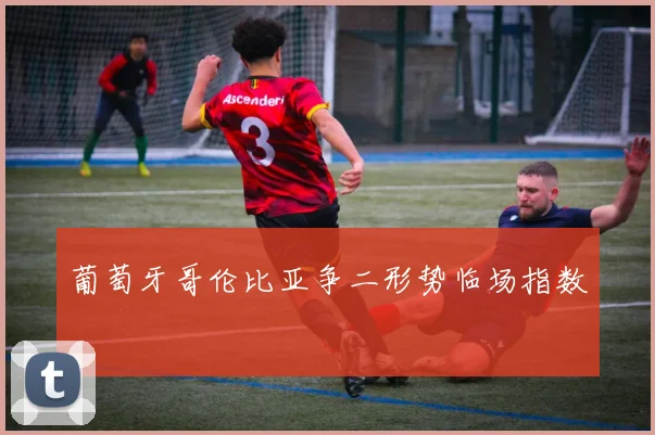 葡萄牙哥伦比亚争二形势临场指数