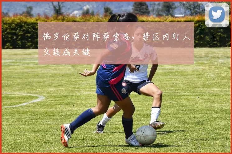 佛罗伦萨对阵萨索洛，禁区内盯人交接成关键